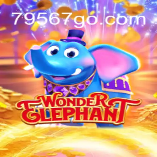 Discover the Magical World of WonderElephant: Brazil's Top Betting Platform