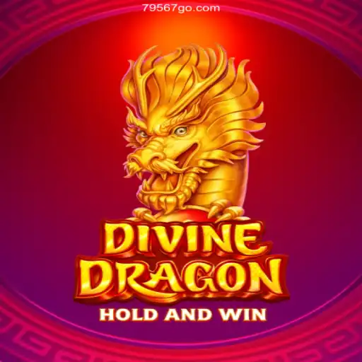 Discover the Thrills of 