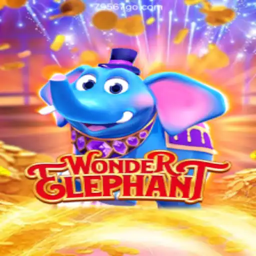Discover the Magical World of WonderElephant: Brazil's Top Betting Platform